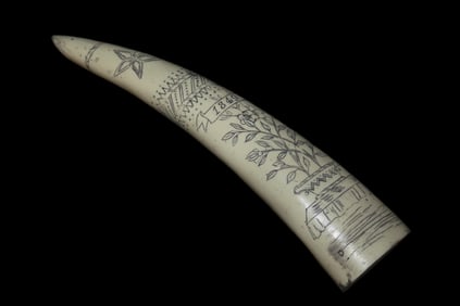 8 1/4" Vintage Scrimshaw Walrus Tusk Carving, Reproduction, Intricate Design
