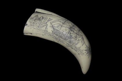 Vintage Scrimshaw Walrus Tooth Carving, Reproduction, Intricate Design