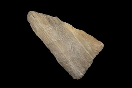 Petrified Wood Triangle found in Louisiana