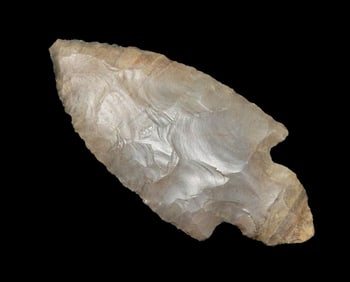 2 5/8" Turkeytail from Kentucky with Possible Minor Rechipping to the Tip