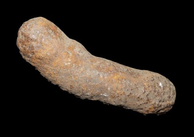 Rare Fossilized Caveman Feces, Paleofeces, Neanderthal Poop, Coprolite from Spain