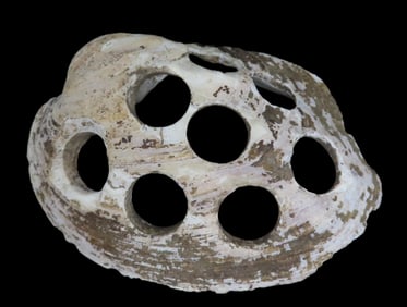 Late 1800's to early 1900's Shell Button Blank found along the Mississippi River by Ron Knowles