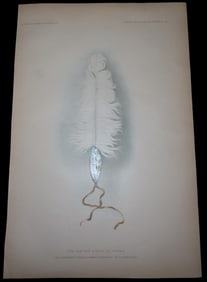Original 1904 Pawnee Indian Print. The Feather Symbol of Tirawa