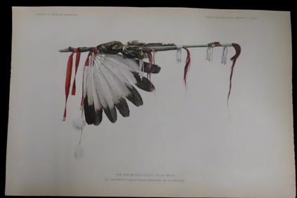 Original 1904 Pawnee Indian Print. The White Feathered Stem (Male)