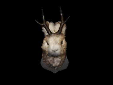 Jackrabbit Wall Mount, Fake Taxidermy, Not Real Rabbit or Antlers