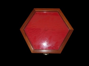 12" Octagon Frame, Wood & Glass with Hinged Latching Lid, Gently Used