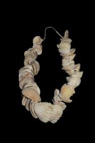Large Shell Bead Necklace from Florida