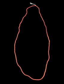 25" Necklace of Columbia River Seed Beads