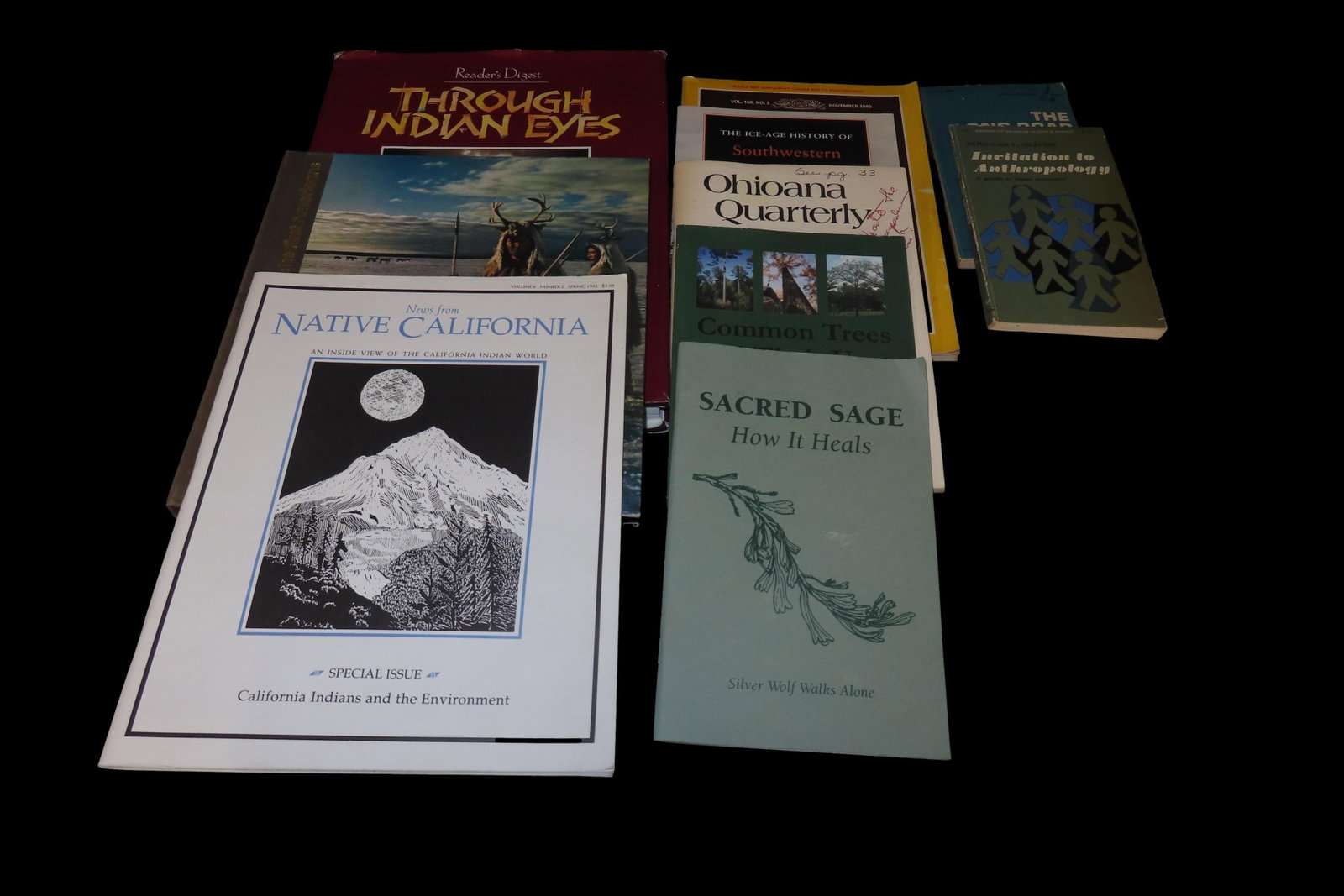 Lot of 10 Indian Books: Lot of 10 Indian Books