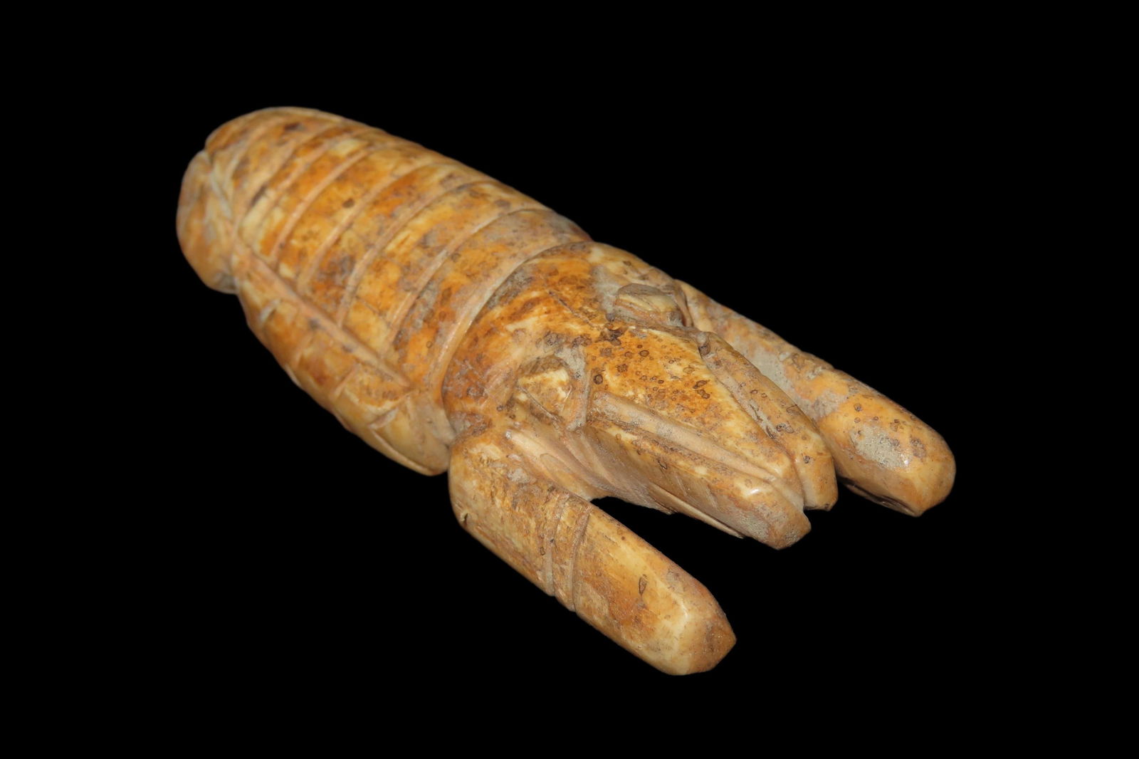 2 7/8" X 1 1/8" Pre Columbian Bone Lobster Effigy, Found in Peru: 2 7/8" X 1 1/8" Pre Columbian Bone Lobster Effigy, Found in Peru