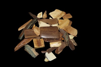 Amazing Group of Polished Alaska Mammoth/ Mastodon Tusk Fossils