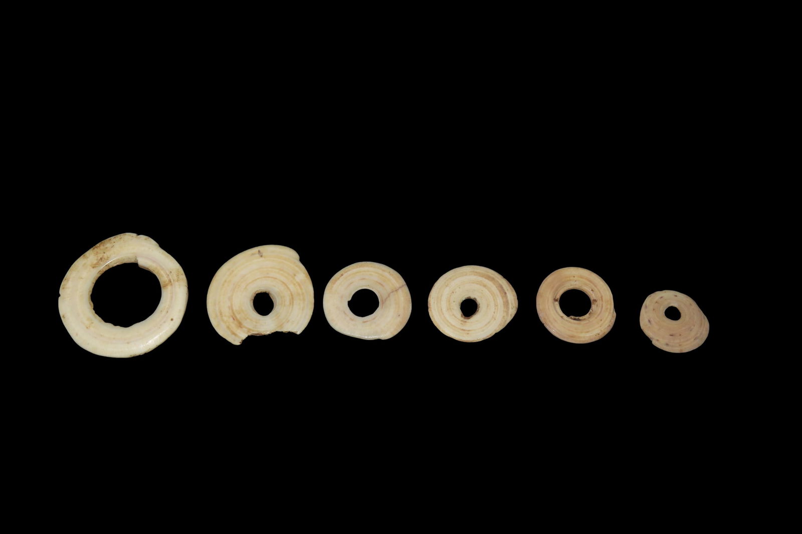 Set of 6 Yua Wenga / Conus Currency Shell Rings, From Papua New Guinea, 1700-1800's (1 of 3)