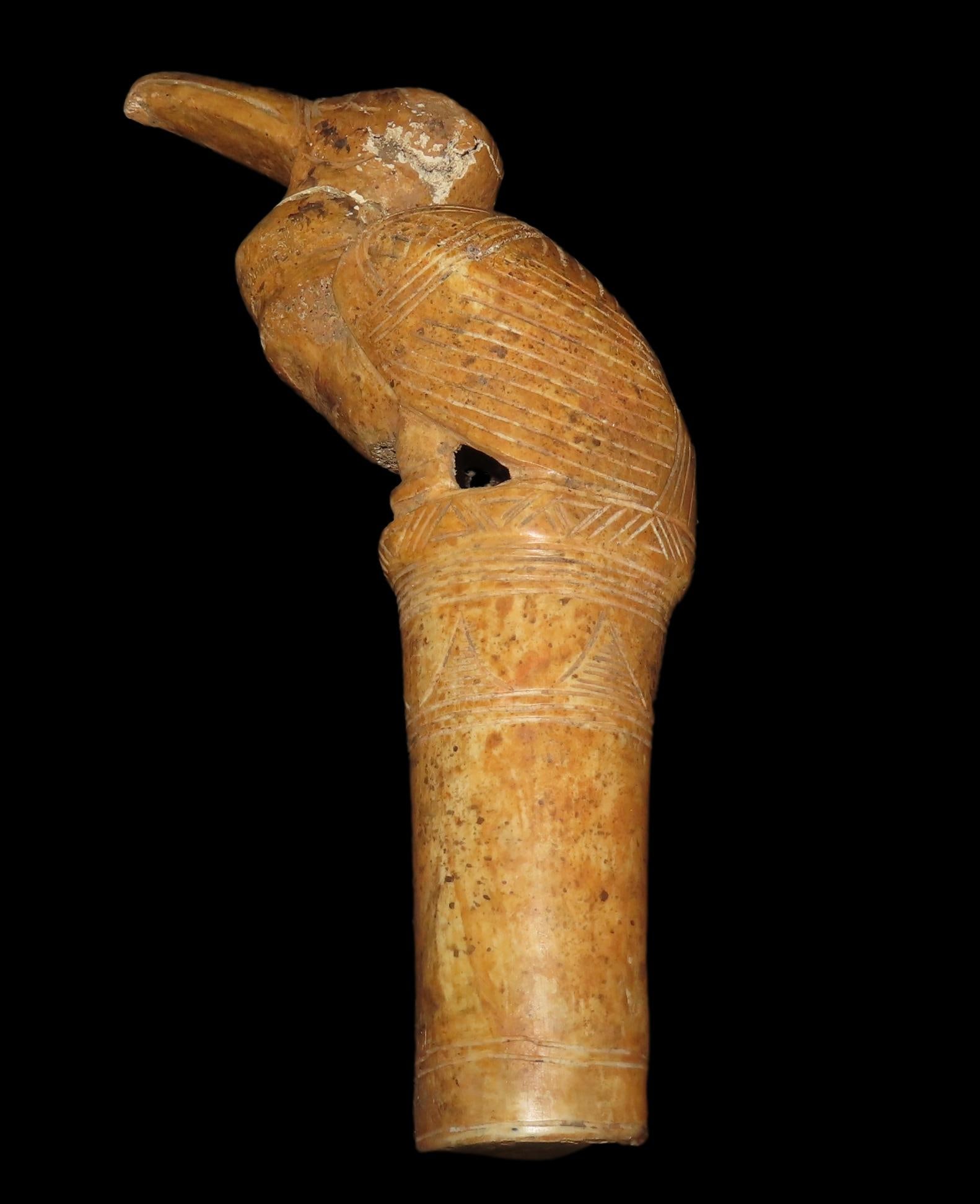 9 3/4" x 6" Andean Condor Bird Effigy Scepter/Finial, Motley COA, Made of Bone, light restoration, (1 of 11)