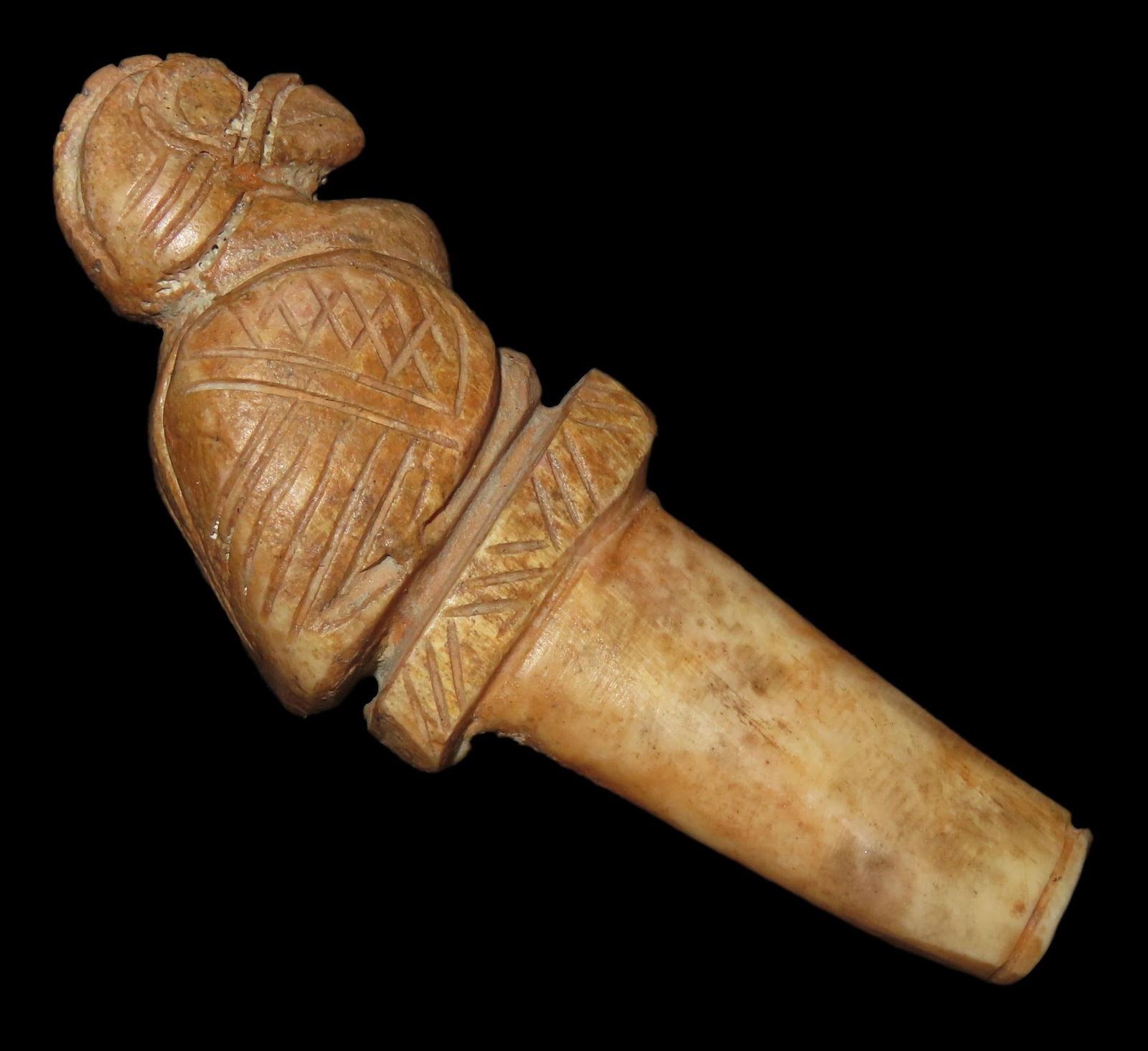 3 1/16" x 1 1/4" Parrot Bird Effigy Scepter/Finial, Motley COA, Made of Bone, found in South (1 of 11)