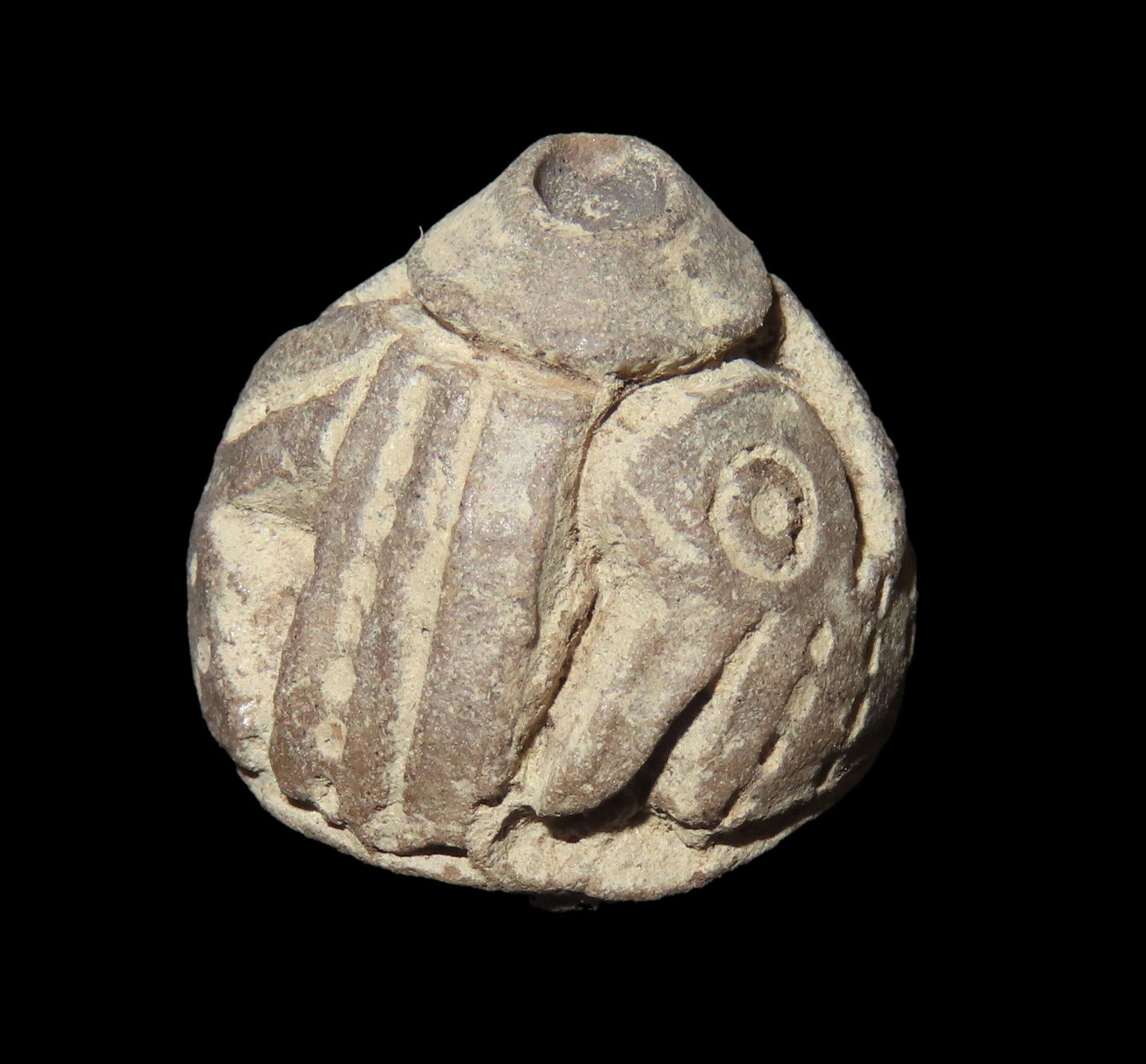 9/16" x 9/16" Pre-Columbian Swimming Pelican Effigy Engraved Bead, 1500 BCE-1100 BCE, Machalilla (1 of 5)