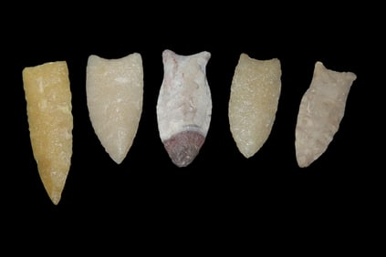 Group of 5 Points found at Fox Lake, Illinois 1920's-1930's, purchased attached to board at Portage