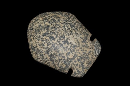 3 3/4" x 3" Pre-Columbian Utilitarian(Daily Use)Celt/Axe Head, Motley COA, Made of Colorful Black &