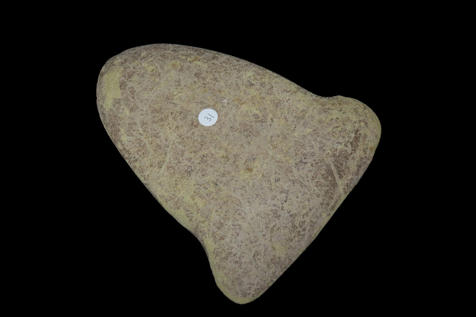 7 15/16" x 6 1/8" Pre-Columbian Colorful Hardstone Votive(Ceremonial)Hand Axe, Motley COA, from (1 of 10)