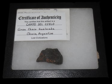 1 3/4" x 1" Camp Del Cielo Meteorite, Lost Civilization COA, Found in Gran Chaco Gualamba, Chaco,