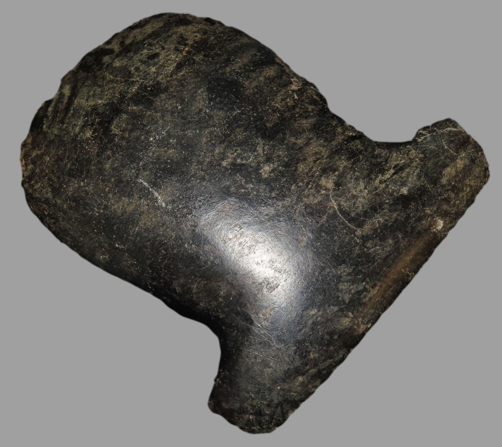 5" x 4 3/8" Celt, From New Guinea, Motley COA, From Private Collection in Delaware (1 of 10)