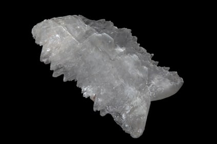 6 1/2" Fishtail Selenite Specimen. It is also known as "angel wing selenite" or "swallow's tail