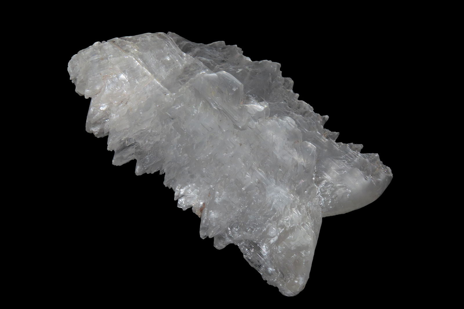6 1/2" Fishtail Selenite Specimen. It is also known as "angel wing selenite" or "swallow's tail (1 of 6)