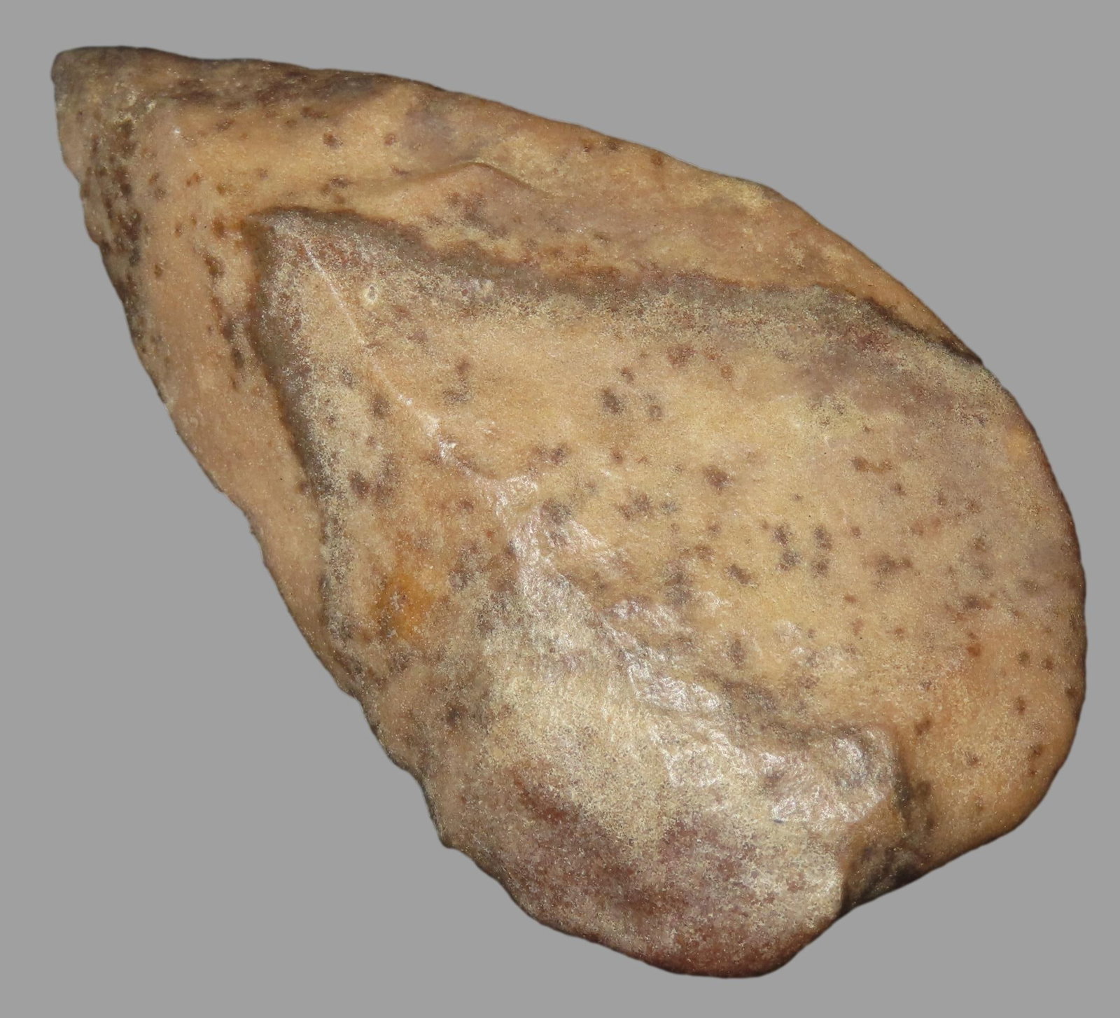 4 1/2" Flint Blade Tool, Found on Mt. Carmel, Israel (1 of 6)