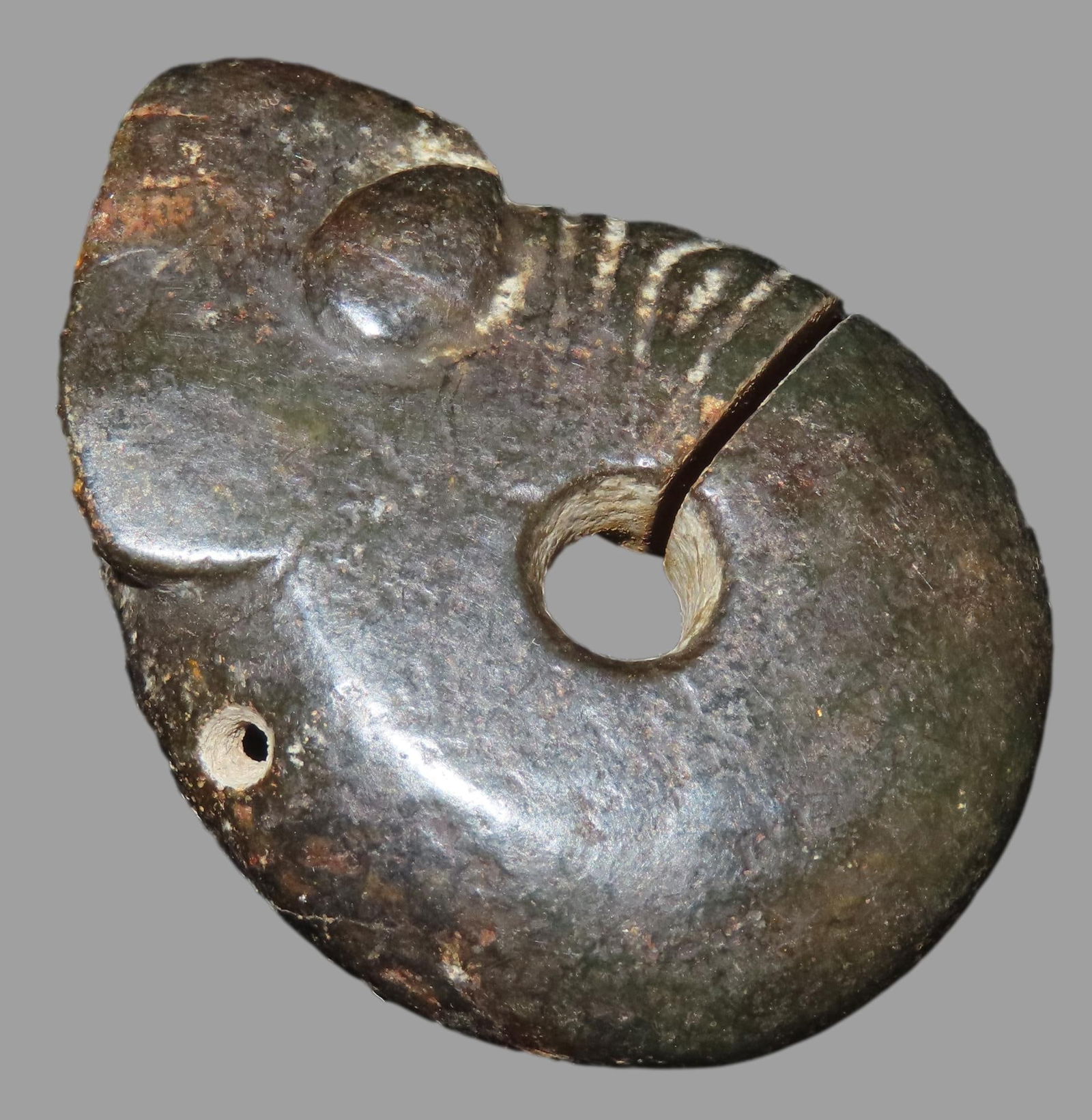 2 3/4" Chinese Hongshan culture jade pig-dragon, or zh?lóng, dating from the Neolithic period. (1 of 6)