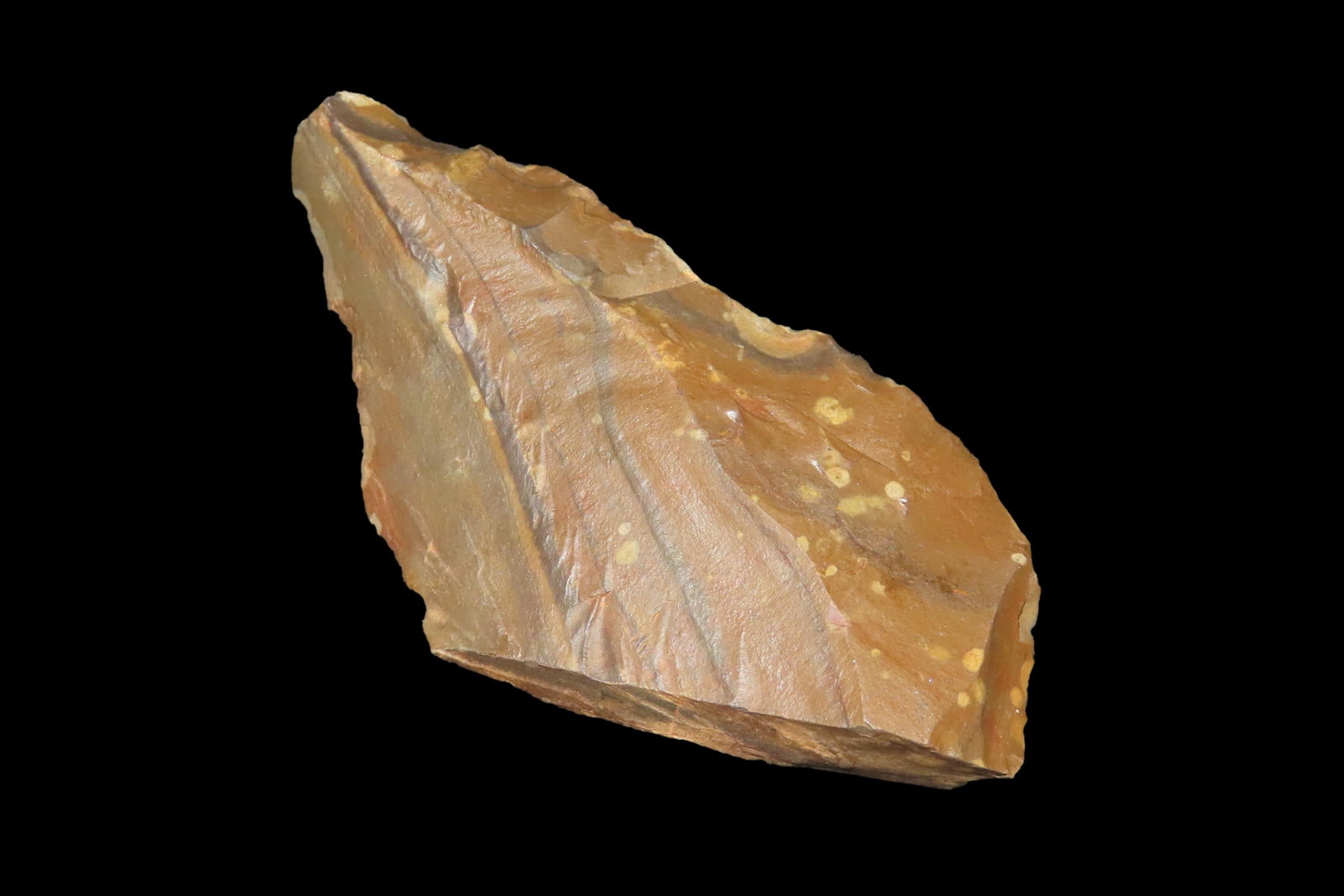 4 1/8" x 1 7/8" x 1/2" Acheulean Knife/Scraper, found at Kathu Townlands Site, Northern Cape (1 of 8)