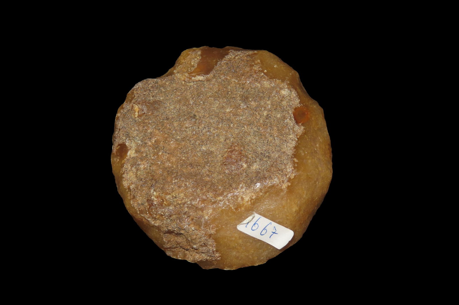 3 1/2" X 3 1/2" X 15/16" Levallois Core, Found in Indre Et Loire, France (1 of 9)