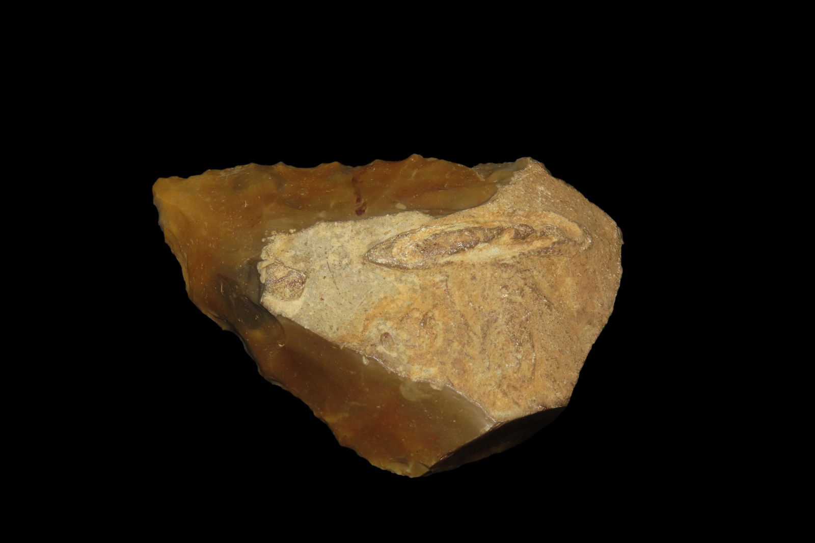 3 3/8" X 2 1/2" X 1" Lower Paleolithic "V" Ovate Handaxe/Scraper, found at St. Stephens Gravel Pit, (1 of 8)