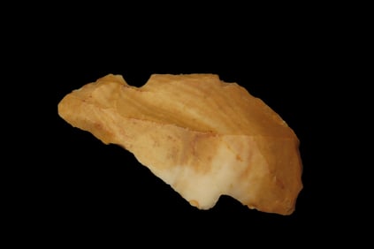 3 1/2" X 1 3/4" X 3/8" Neolithic Double Tool-Scraper Notch, Found in the Southwest of France