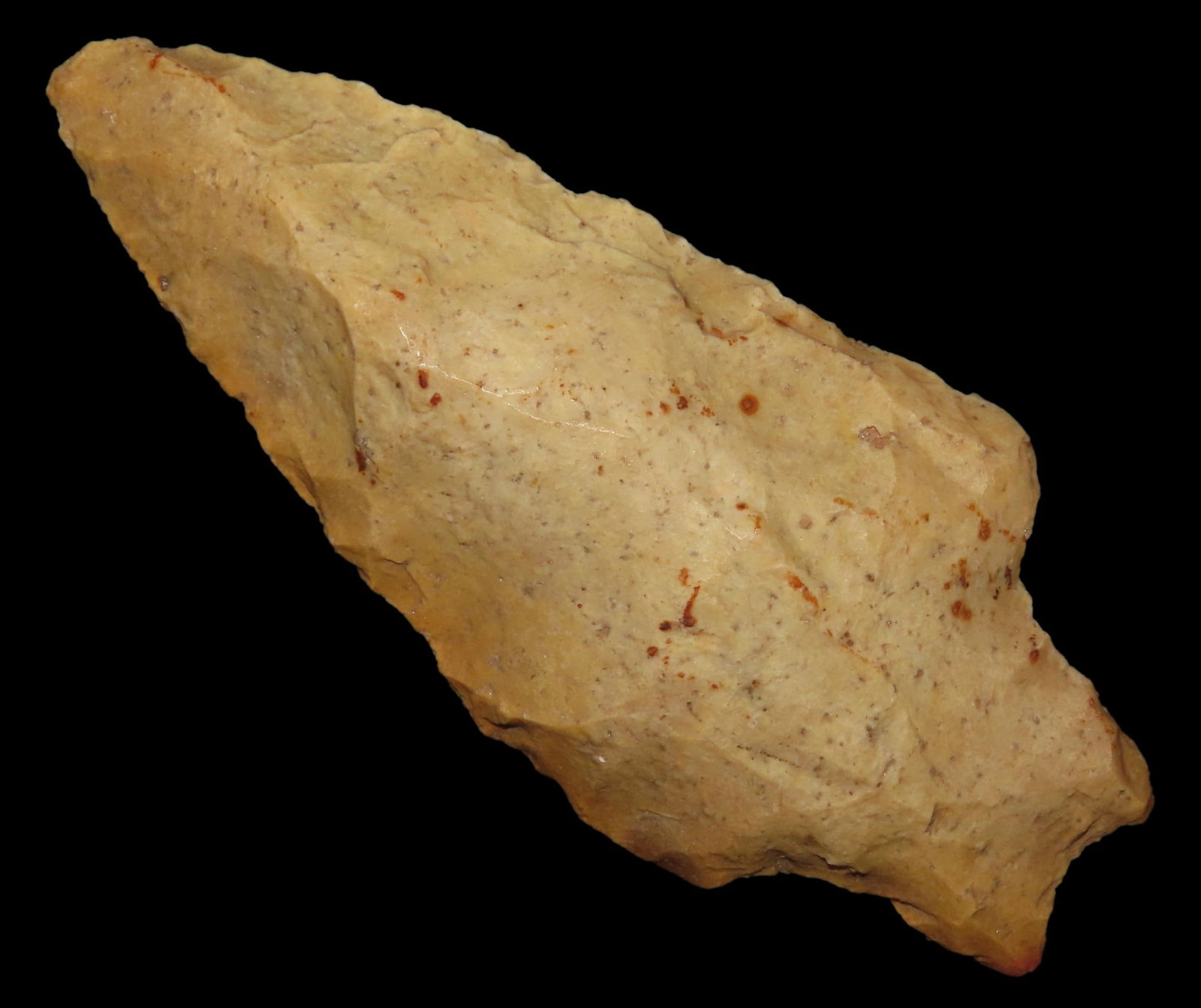 3 1/4" Hamilton Point, Found Between 1968- 2023 By Jeff Thompson in Marion County Florida (1 of 6)