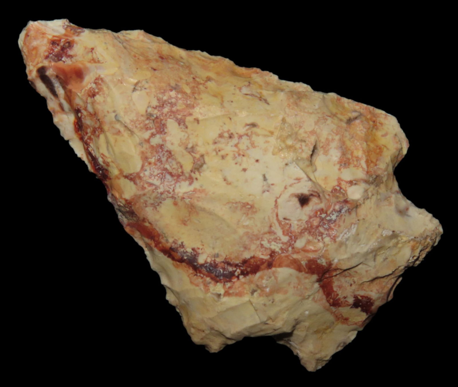 2" Savannah River Point, Found Between 1968- 2023 By Jeff Thompson in Nassau County Florida (1 of 6)