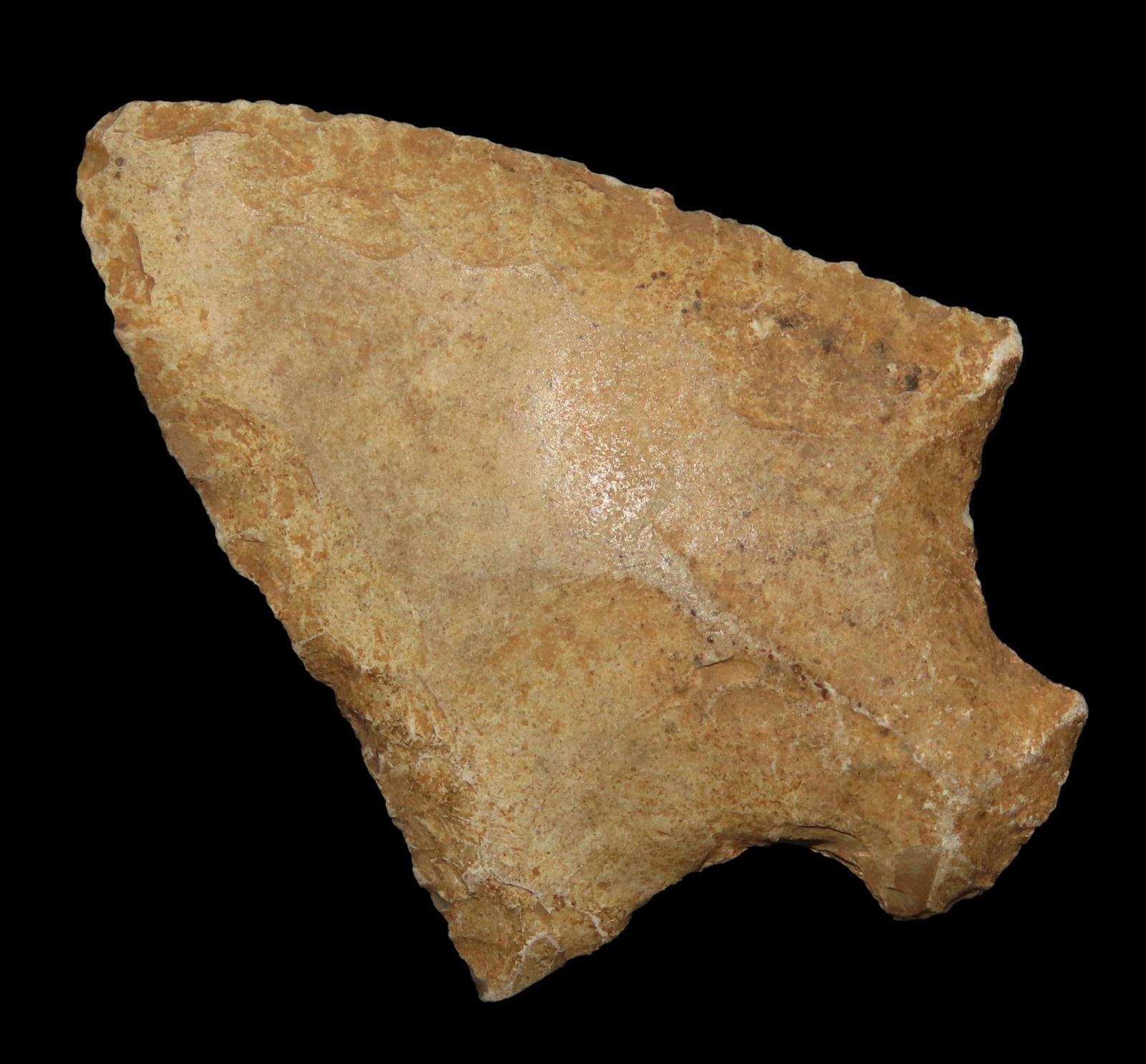 2 3/8" Abbey Point, Found Between 1968- 2023 By Jeff Thompson in Brevard County Florida (1 of 7)