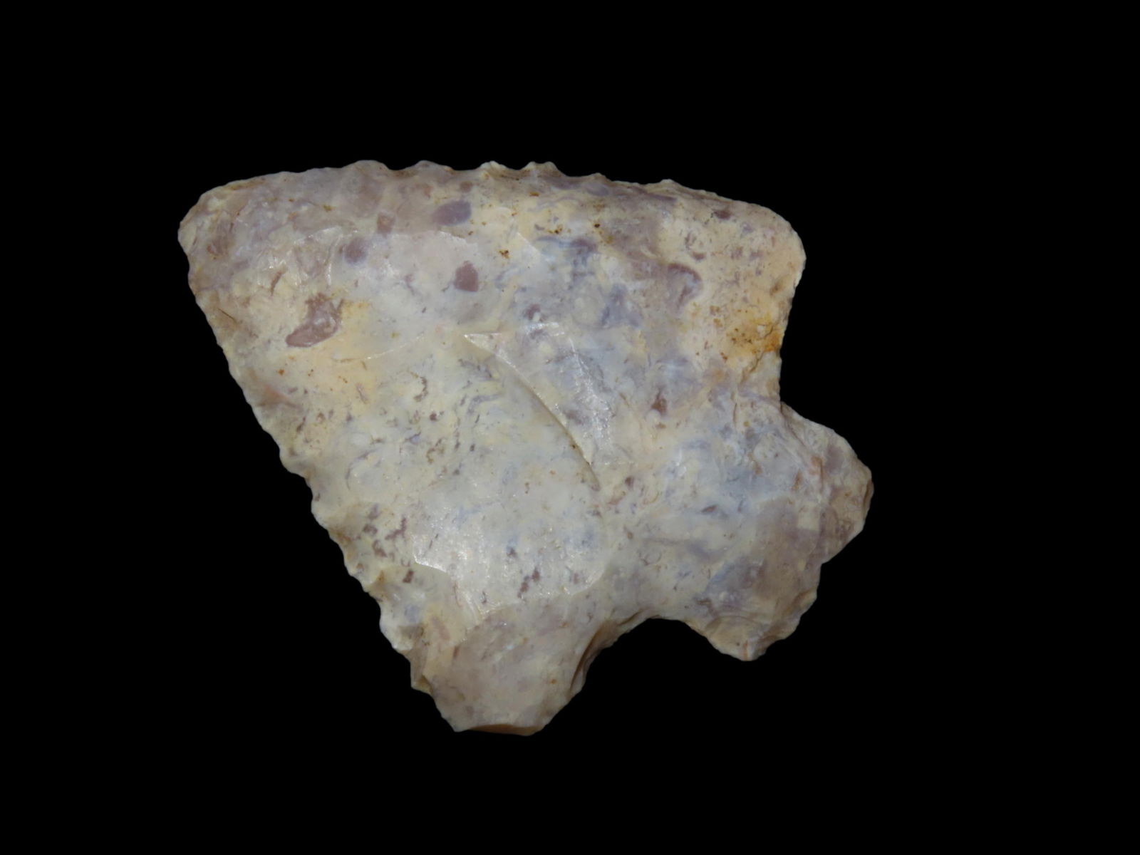 2" Abby Point, Found Between 1968- 2023 By Jeff Thompson in Marion County Florida (1 of 6)