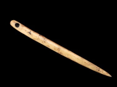 3 9/16" Bone Needle, Found By Jeff Thompson in Either Florida or Georgia