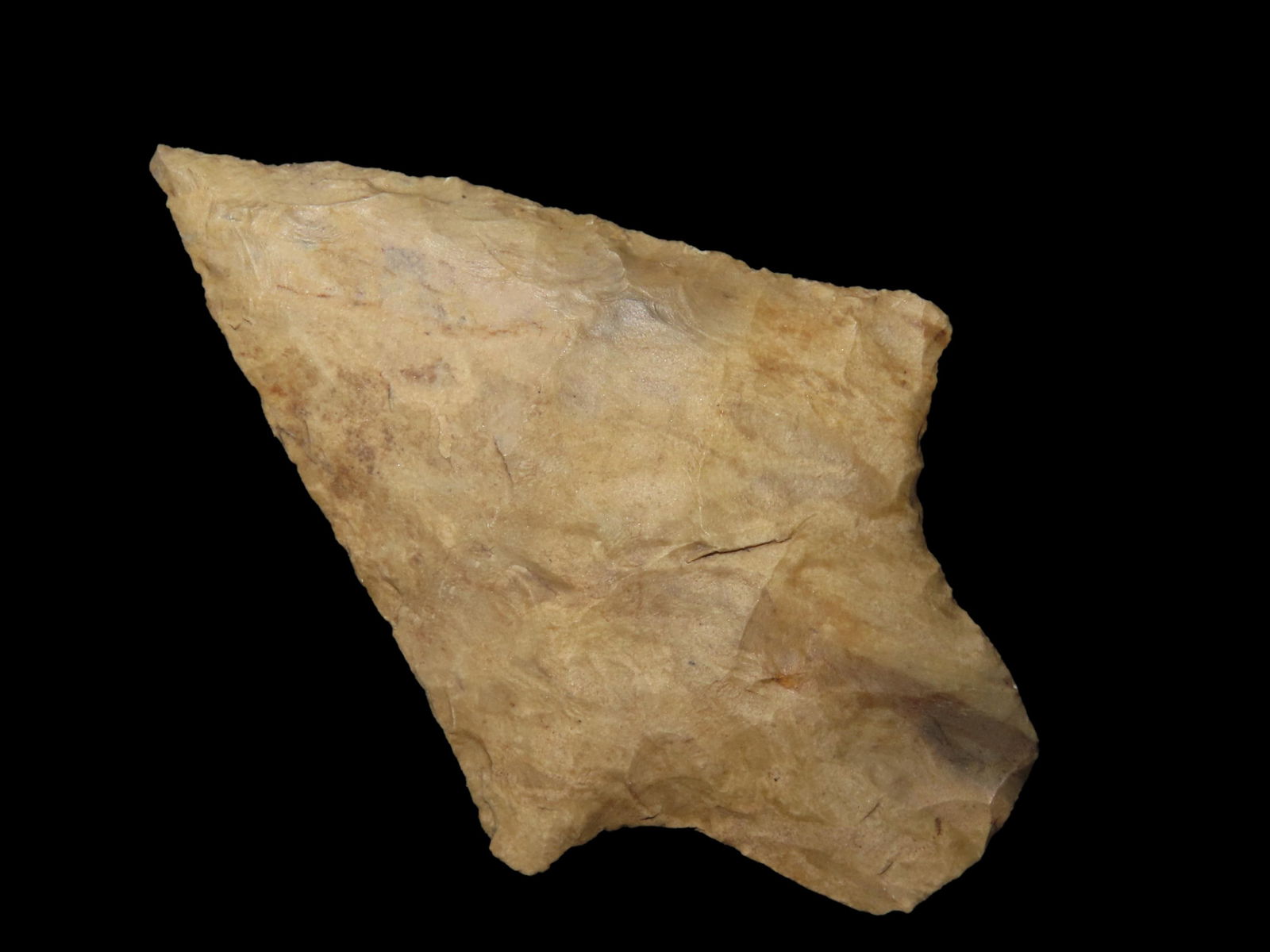 2 5/8" Thin High Grade Levy, Found By Jeff Thompson in Either Florida or Georgia (1 of 6)