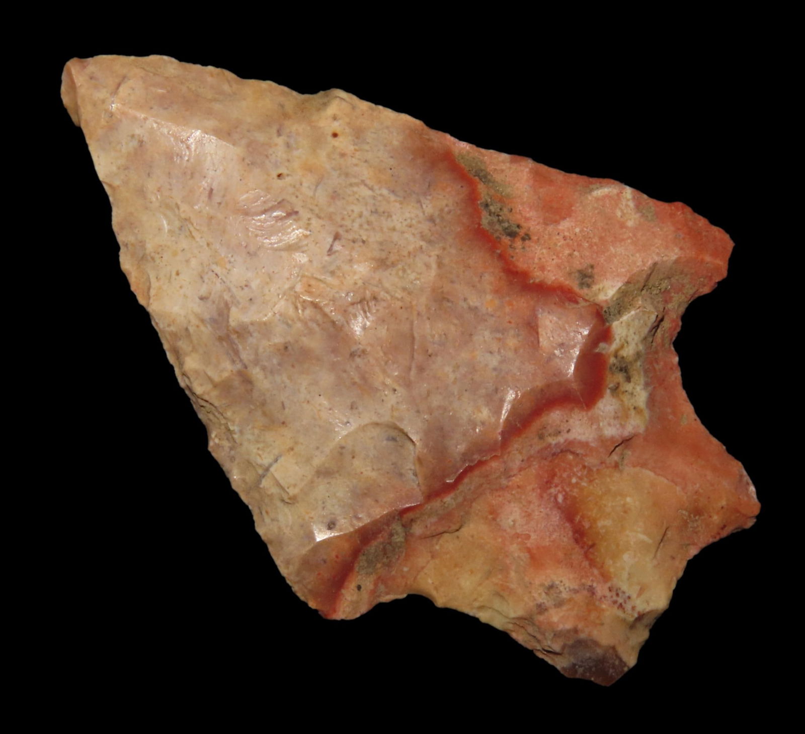 2 1/8" Seminole Point, Found Between 1968- 2023 By Jeff Thompson in Nassau County Florida (1 of 6)