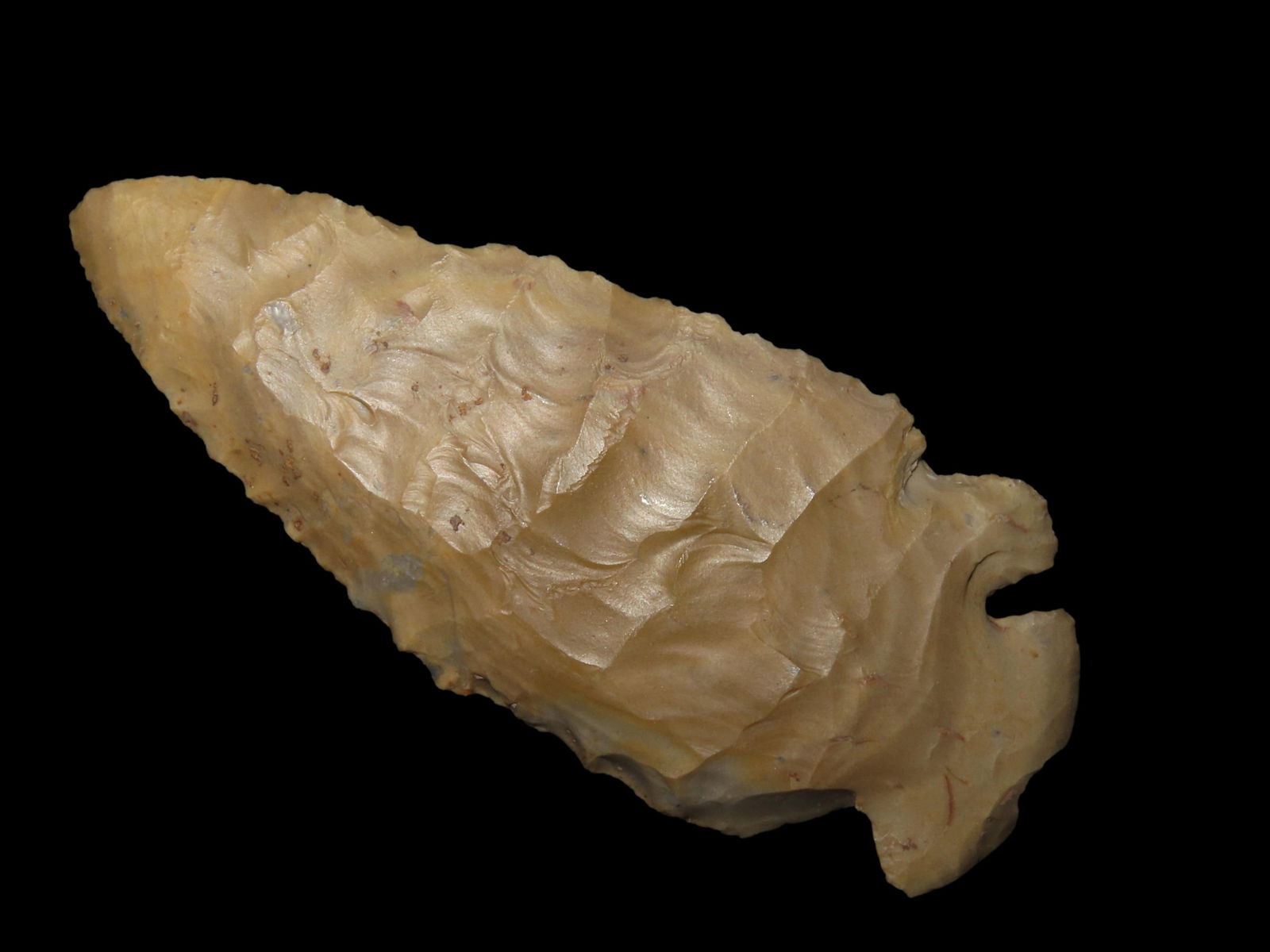 3 3/4" Bulls Eye Dovetail, Found By Jeff Thompson in Either Florida or Georgia (1 of 6)