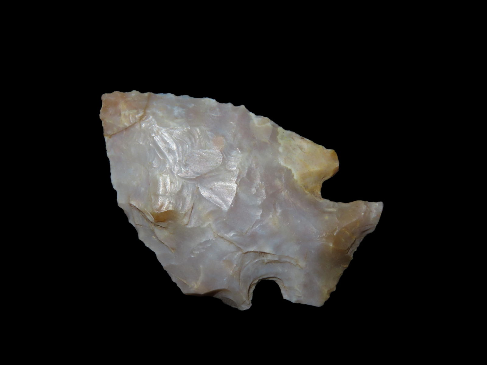 1 7/16" Semi Translucent Clay, Found By Jeff Thompson in Either Florida or Georgia (1 of 6)