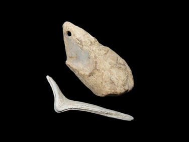 Bone Pendant and Shell Awl, Found Between 1968- 2023 By Jeff Thompson in Either Florida or Georgia