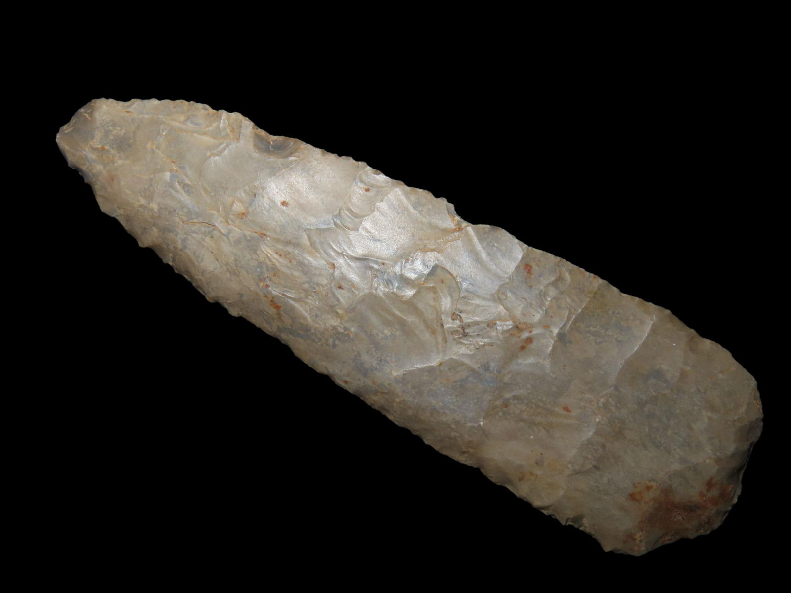 5 9/16" Cobbs Blade, Found Between 1968- 2023 By Jeff Thompson in Marion County Florida (1 of 7)