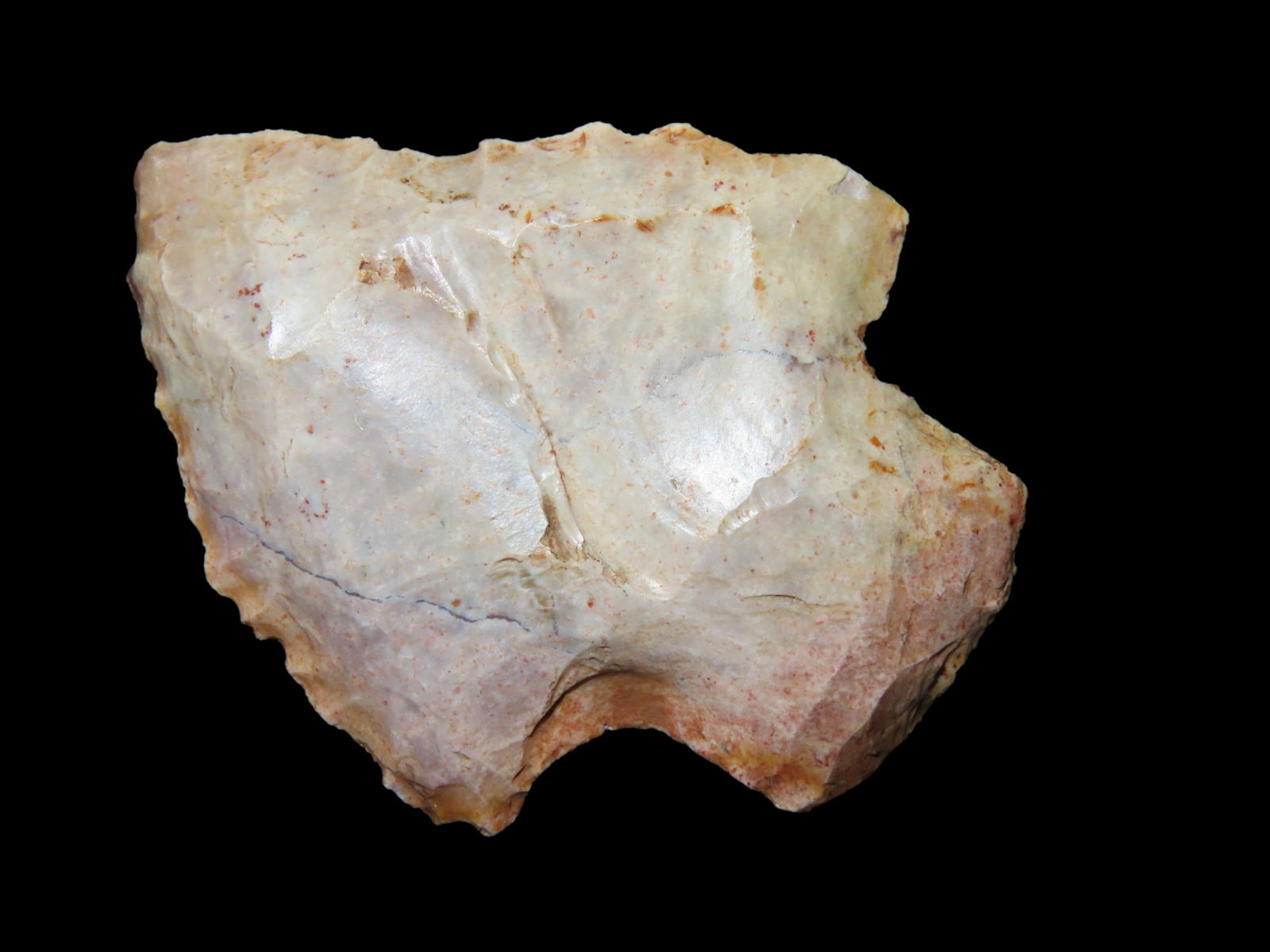 2 1/2" Abbey Point, Found Between 1968- 2023 By Jeff Thompson in Nassau County Florida (1 of 6)