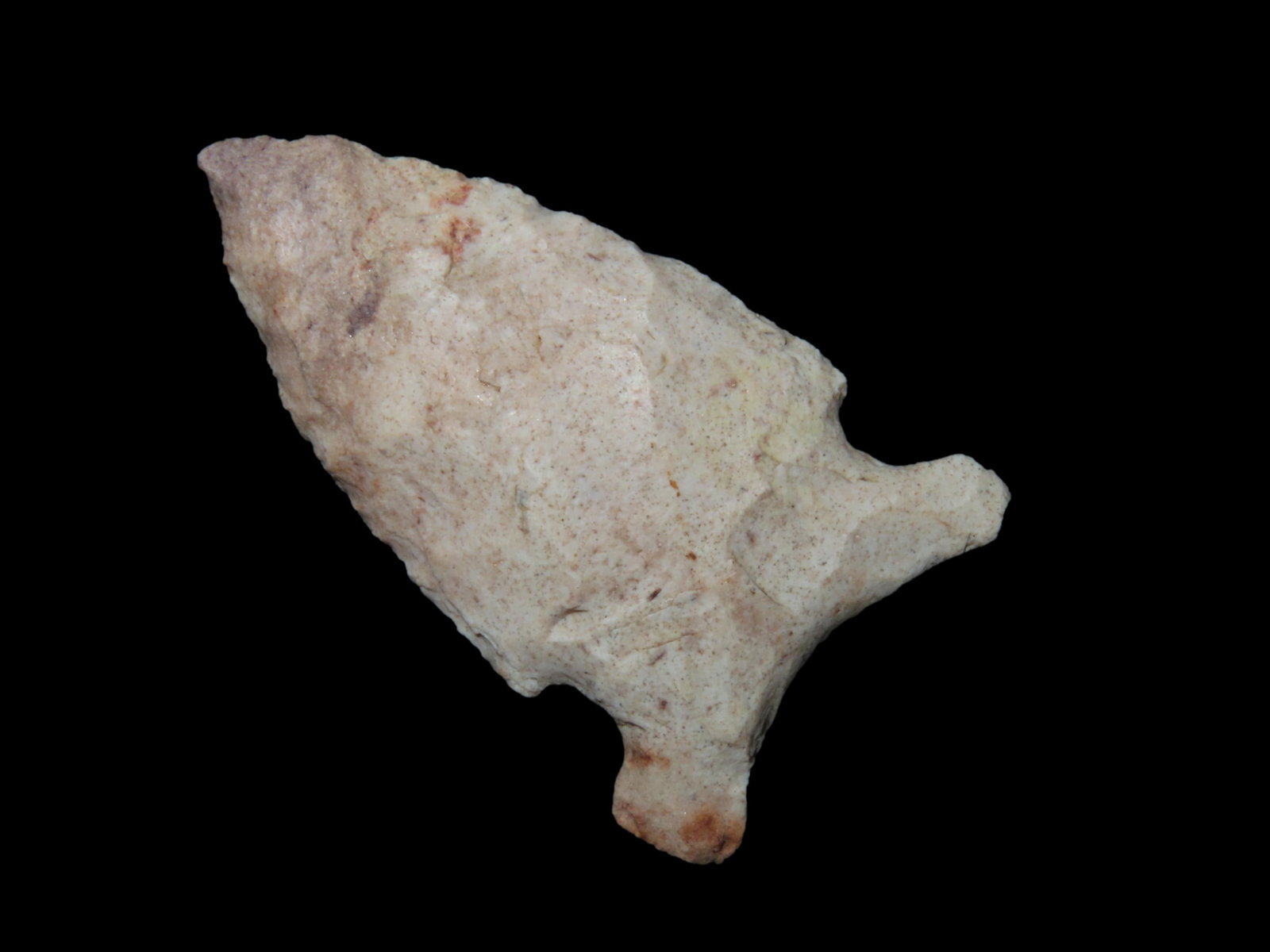 2" Osceola Greenbrier Point, Found Between 1968- 2023 By Jeff Thompson in Polk County Florida (1 of 6)