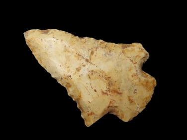 2 1/2" Abbey Point, Found Between 1968- 2023 By Jeff Thompson in Nassau County Florida