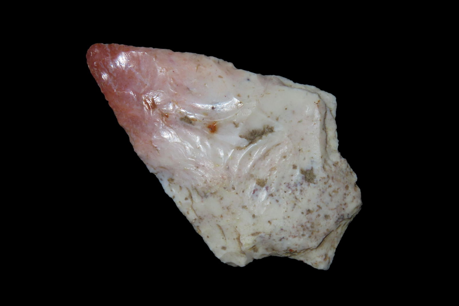 2 1/2" Seminole Point, Found Between 1968- 2023 By Jeff Thompson in Marion County Florida (1 of 5)