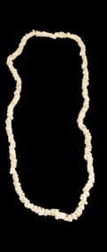 10 3/4" Strand of Shell Beads Camden Co. Georgia Found Between 1968-2023 by Jeff Thompson