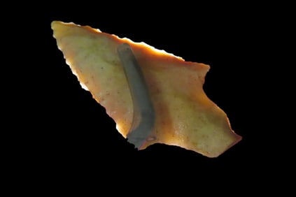 2 1/4" Fossilized Coral Putnam Translucent Camden, Co. Georgia found Between 1968-2023 By Jeff