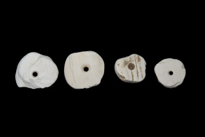 Set Of Shell Disc Beads Found Between 1968-2023 By Jeff Thompson in either Brevard Seminole, Nassau,